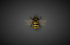 蜜蜂飞行拍动翅膀flash动画