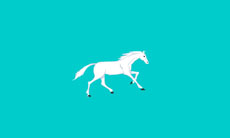 马奔跑慢动作flash动画