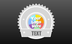 logo创意标签flash动画