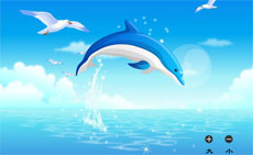 自由变大小的海豚flash动画