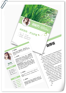 淡雅草绿色护士简历模板