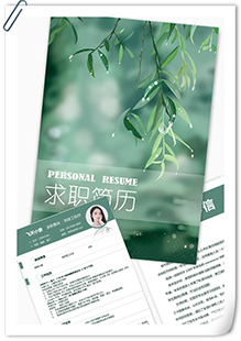 网络工程师简历模板