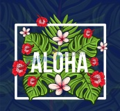 彩色夏威夷热带花卉树叶矢量