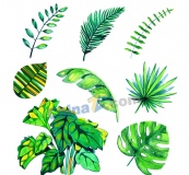水彩绘绿色棕榈树叶矢量素材