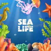 海洋生物卡通矢量插图
