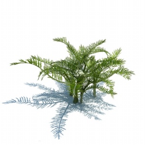 3D植物模型设计