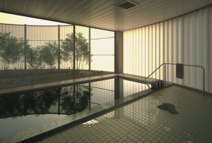 室内游泳池3D模型