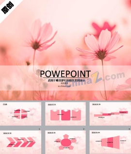 粉色花朵ppt背景图片