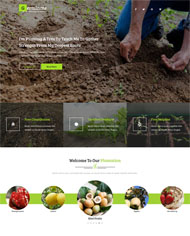 水果种植企业网站模板