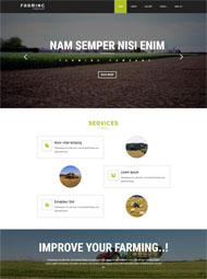 东北水稻种植网站模板