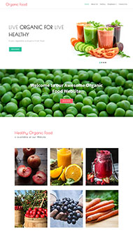 鲜榨果汁加盟店网站模板