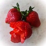 诱人鲜红草莓图片