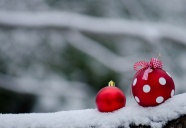 圣诞节装饰彩球图片