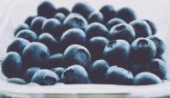 蓝莓摄影图片