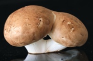 食用新鲜蘑菇图片