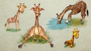 卡通长颈鹿背景图片