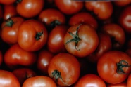 自然成熟西红柿图片