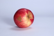 一个红色苹果图片欣赏