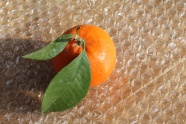 一个橙色橘子图片