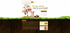 健康饮食网页模板设计PSD