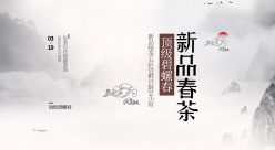 新品春茶碧螺春中国风海报
