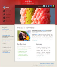 红色经典CSS网页模板