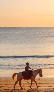 黄昏巴厘岛海滩小男孩骑马图片