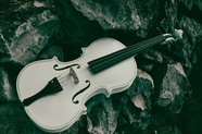 岩石堆上的白色小提琴图片