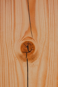 原木木纹纹理背景图片