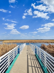 蓝天白云湿地公园自然保护区风景图片