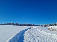冬季白色雪地雪景风光摄影图片