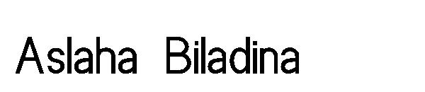 Aslaha Biladina字体