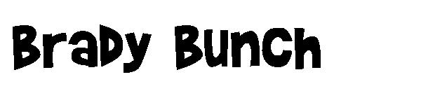 Brady Bunch字体