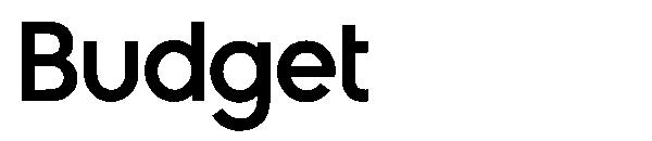 Budget 2012字体