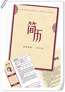 中国风护士长简历模板