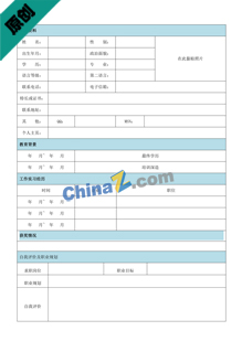 二级建造师个人简历表格