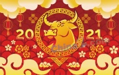 2021牛年春节矢量图设计