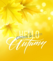 秋天黄色枫叶海报设计