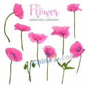 水彩粉色花朵矢量素材