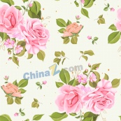 水彩粉色玫瑰花卉背景图