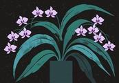 唯美紫色兰花盆栽插画矢量素材