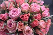 粉色玫瑰花朵花束图片