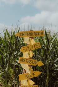 玉米地指示牌图片