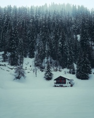 冰天雪地树林雪屋图片