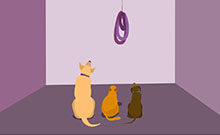 HTML5 SVG猫和狗背影动画特效
