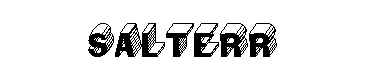 Salterr字体