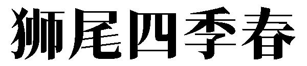 狮尾四季春