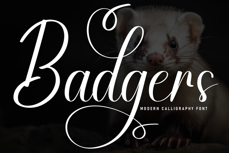 badgers 1