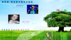 绘贤居网站flash片头下载