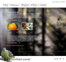 欧美大自然flash动画网站模板
